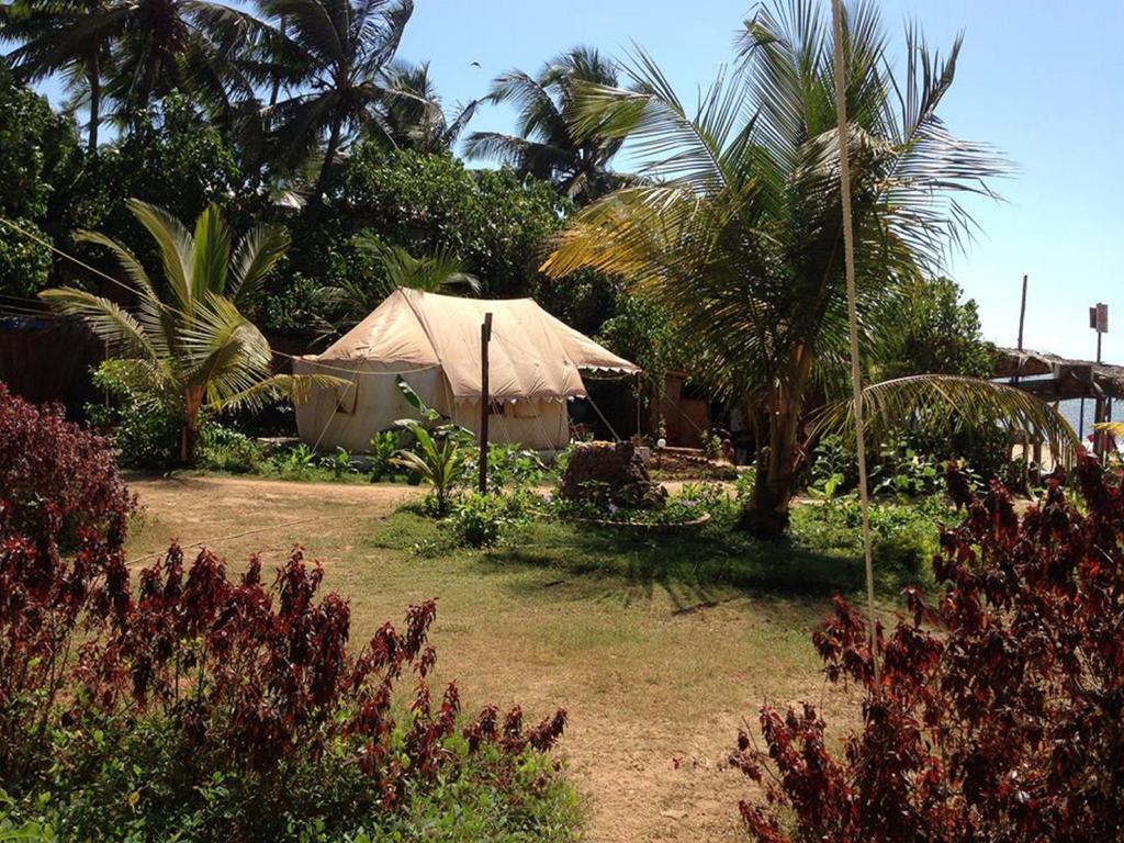 Five Five Restaurant And Guest Tents Hotel Anjuna Exterior photo